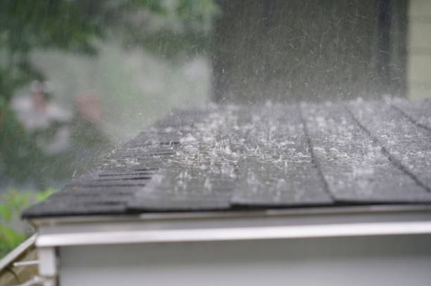 Sparks, NV Roofing Services Company